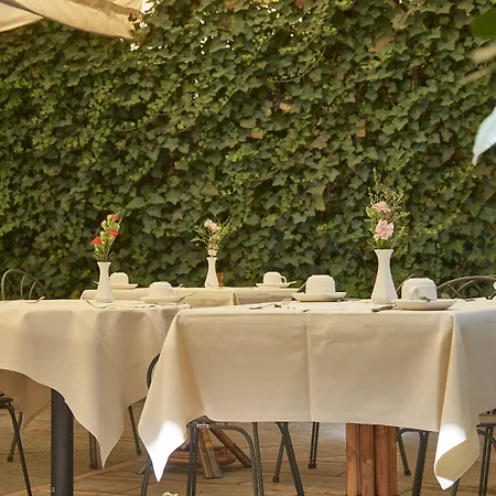 酒店 亚德里亚海大酒店